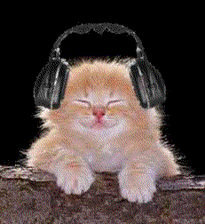 les chats osi ecoutent la zik??!!