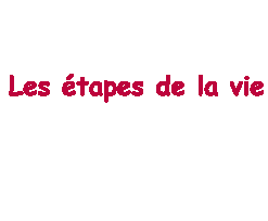 lé 4 étape de la vie