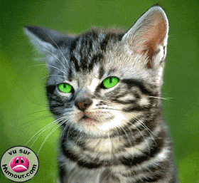 comment tu me trouve (^-^)