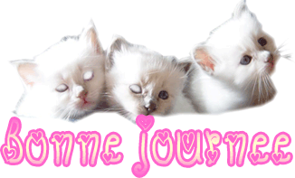 Bonne journée  a tous