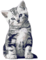 Hi ! all