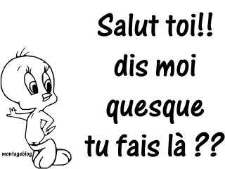 Slt Toi